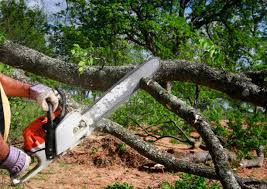 Best Lawn Dethatching  in Claremore, OK